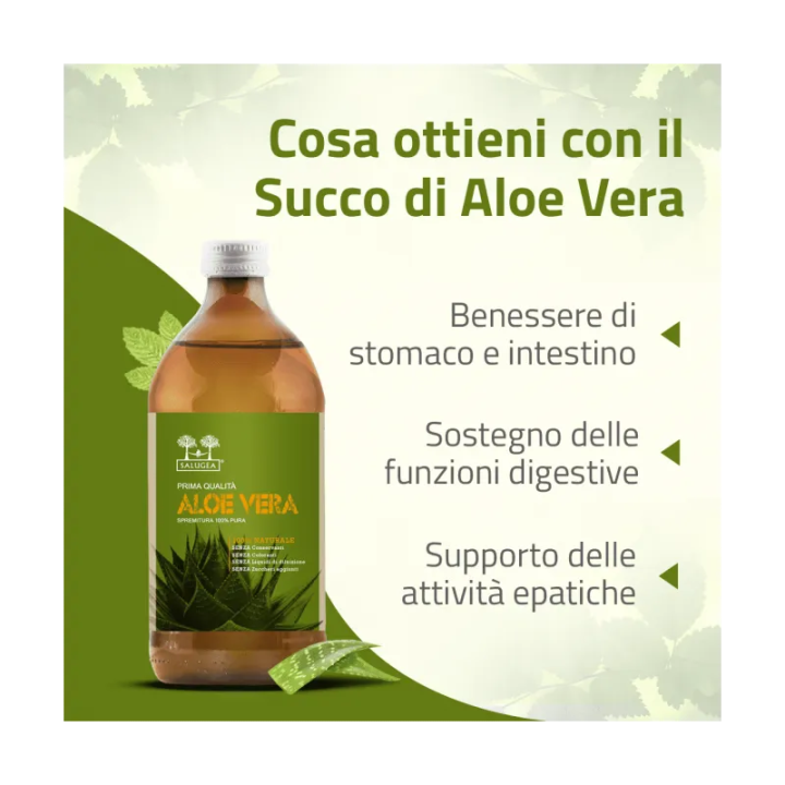 Succo di Aloe Vera | Bitsani
