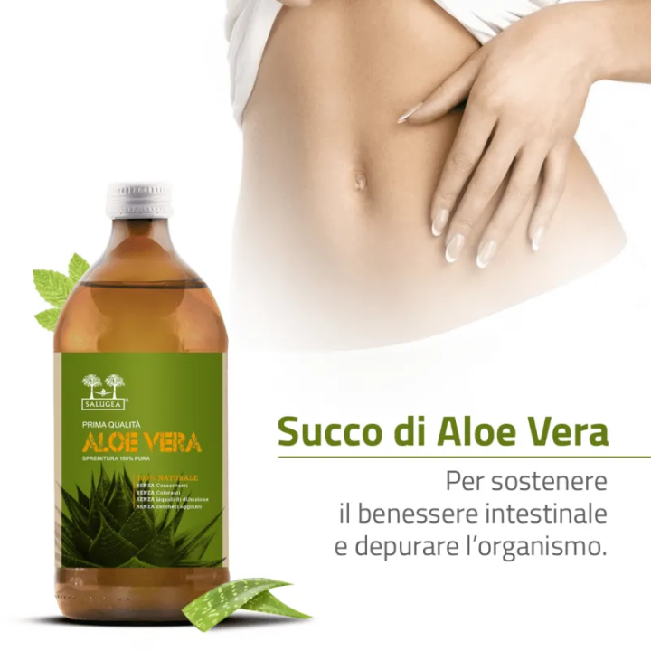 Succo di Aloe Vera | Bitsani